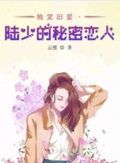 独宠旧爱·陆少的秘密恋人txt